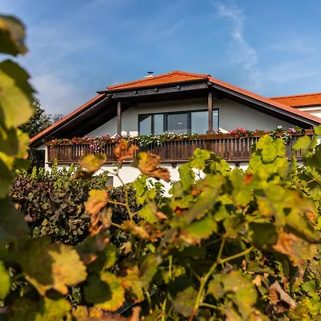 Pensjonat Vinarstvi Vymola 3*