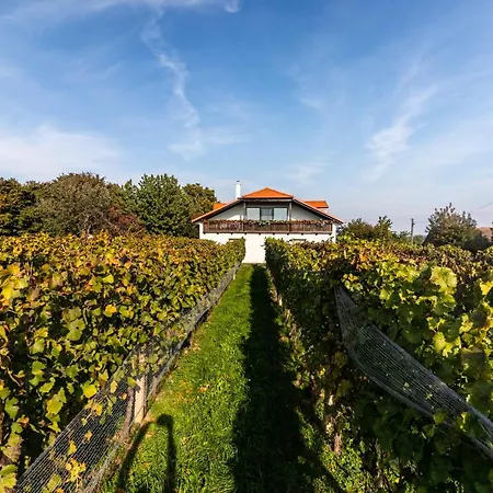 Penzion Vinařství Výmola
