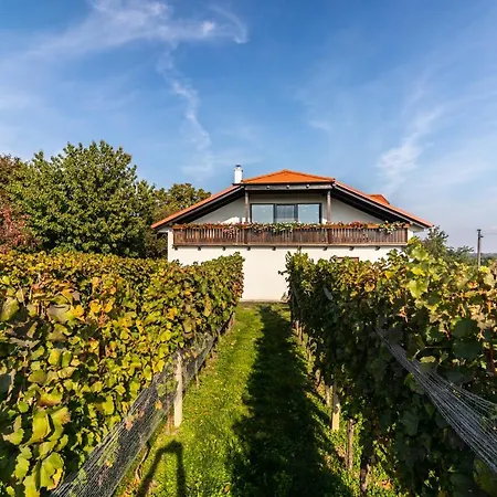 Vinarstvi Vymola Pensionat Mikulčice