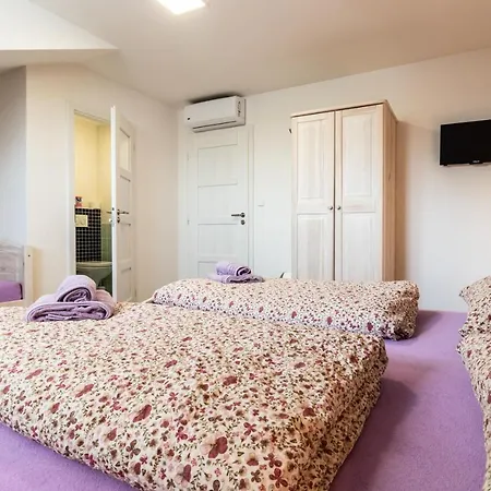 Vinarstvi Vymola Guest house *