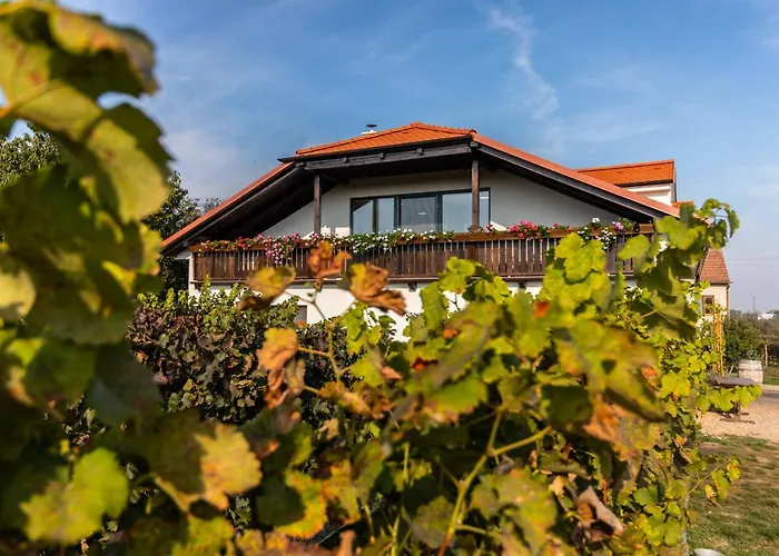 Vendégház Vinarstvi Vymola 3*