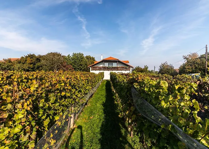 Vendégház Vinarstvi Vymola